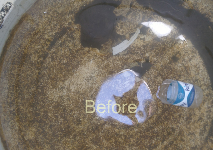 Sintex water tank cleaning Services in Gurgaon